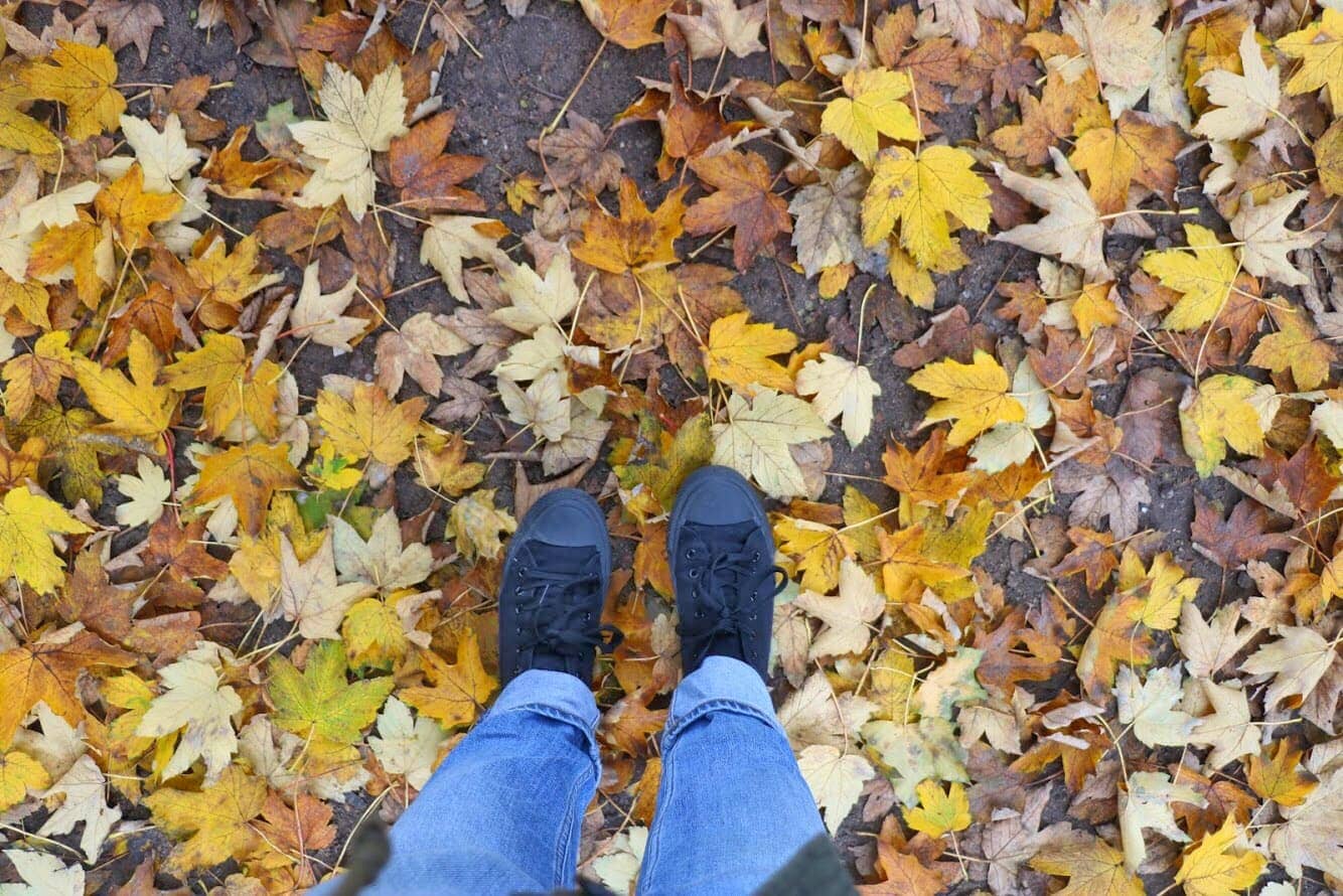 Tiergarten - Four Days In Berlin - Emma Jane Explores