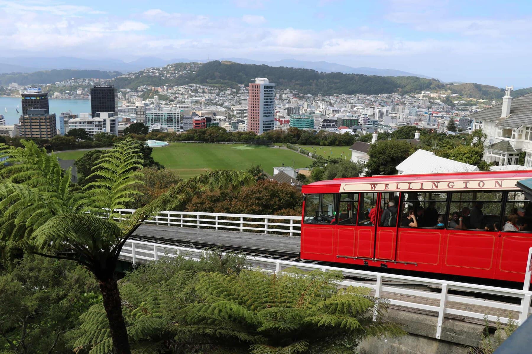 Things To Do In Wellington