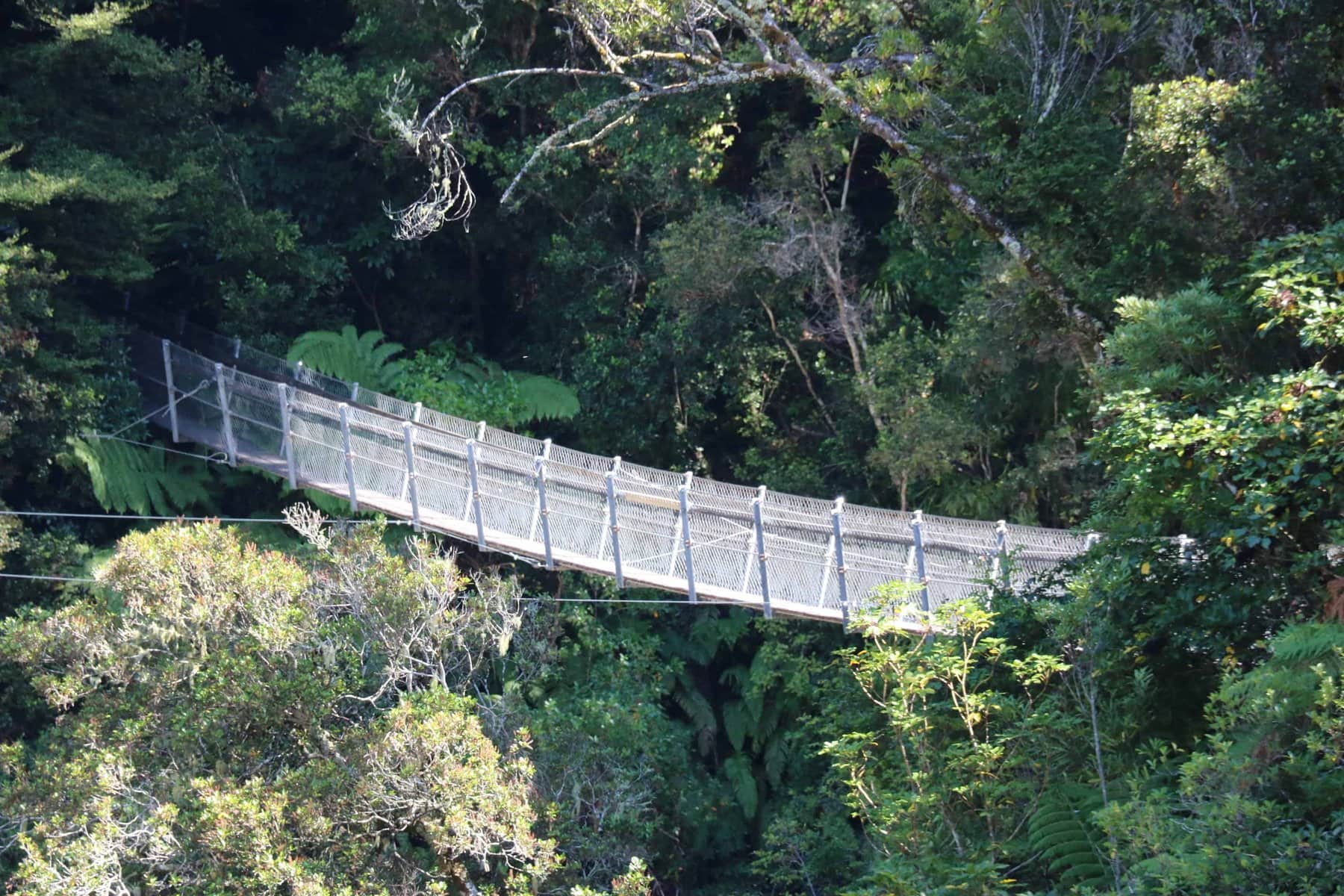 Things To Do In Wellington