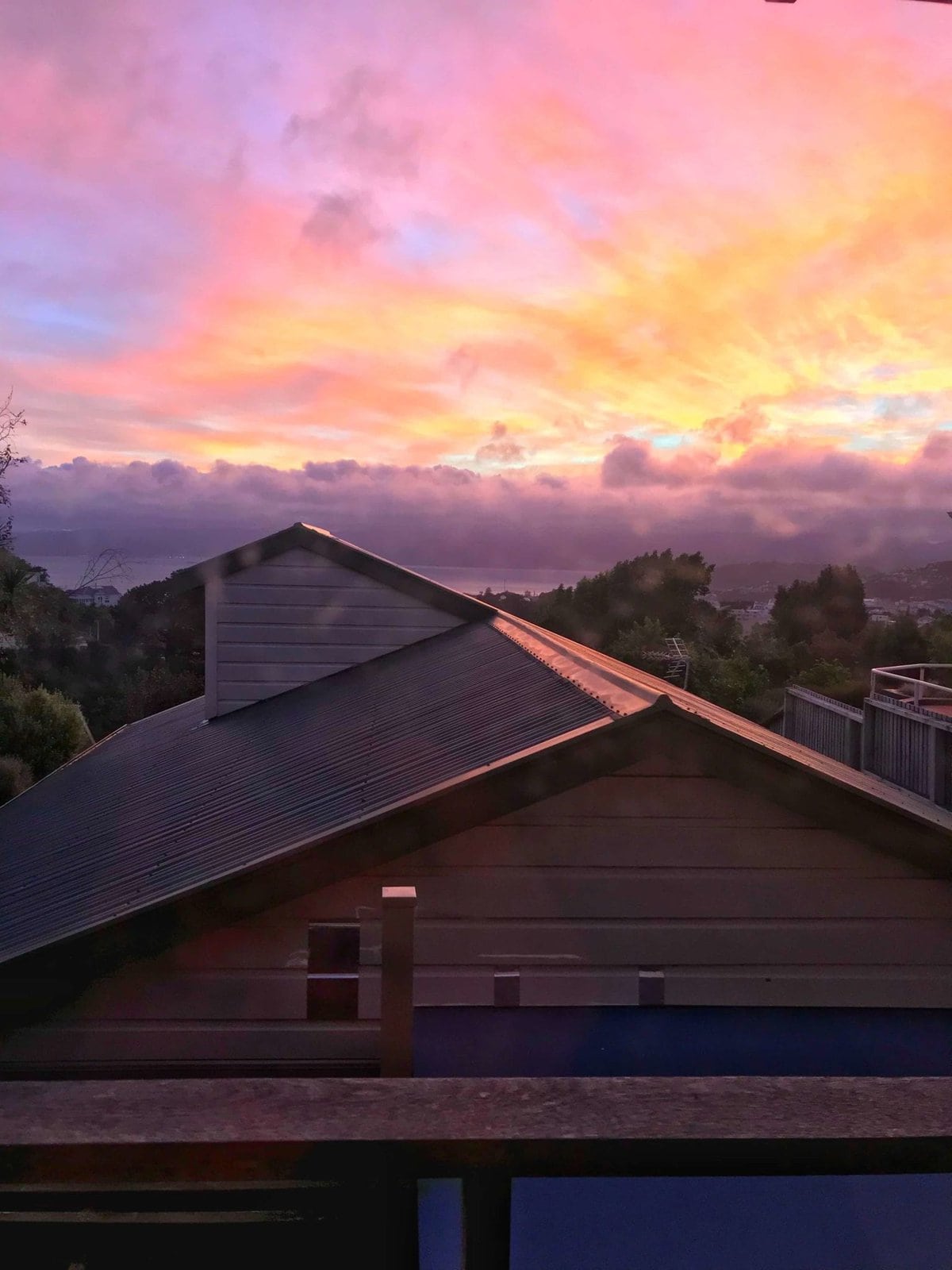 Things To Do In Wellington