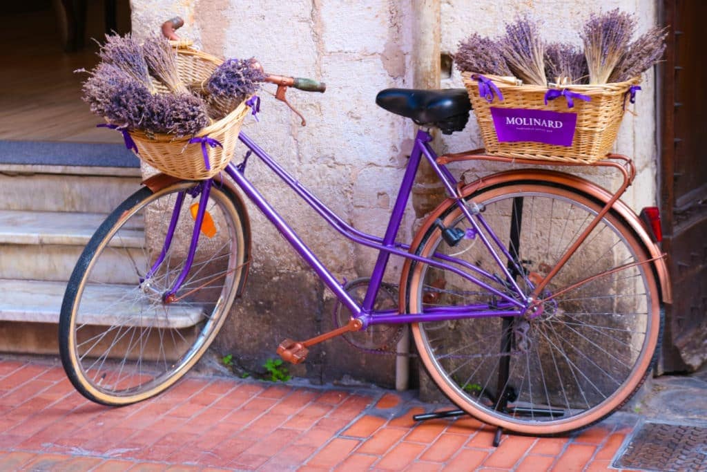 French Riviera - Grasse