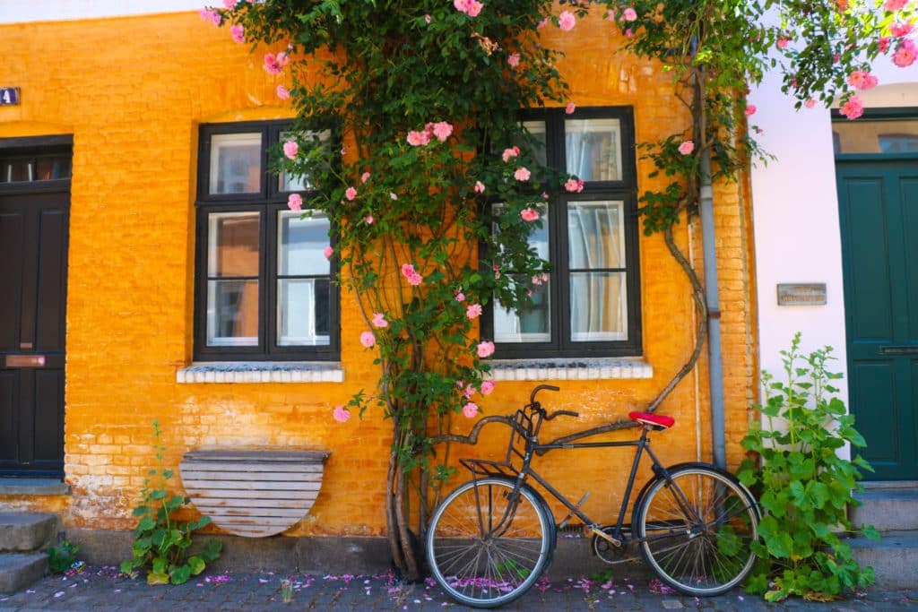Three Days in Copenhagen