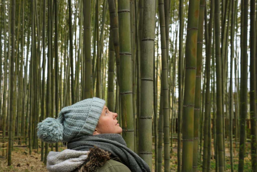Emma staring up at the bamboo trees in Arashiyama - Three Days in Kyoto