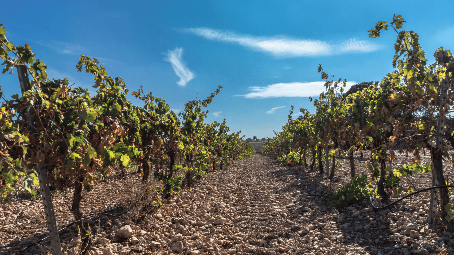 The Best Places To Go In Spain