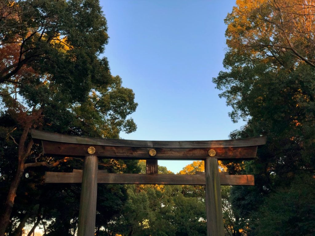 things to do in tokyo