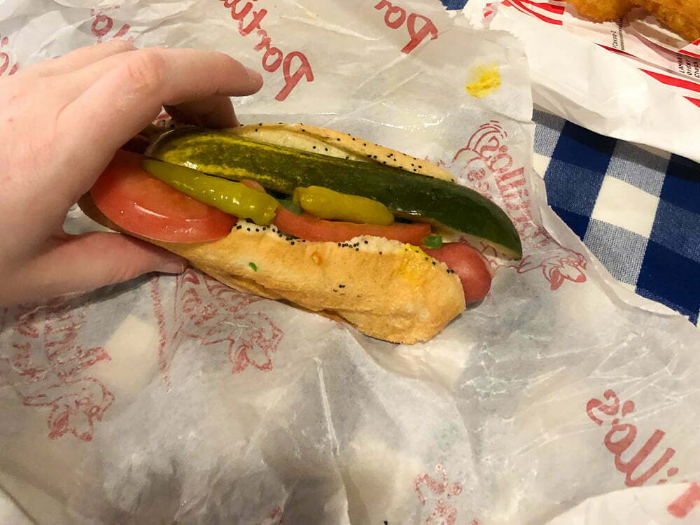 3 Days In Chicago - Emma Jane Explores