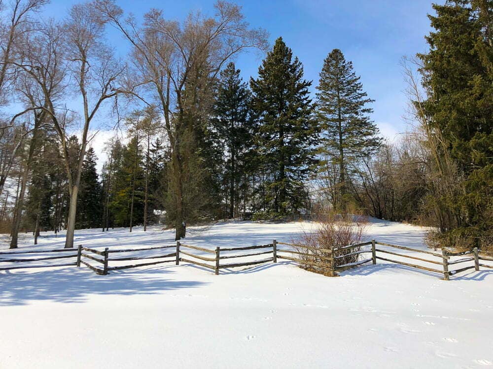 Schomberg - Snow Fields - Emma Jane Explores