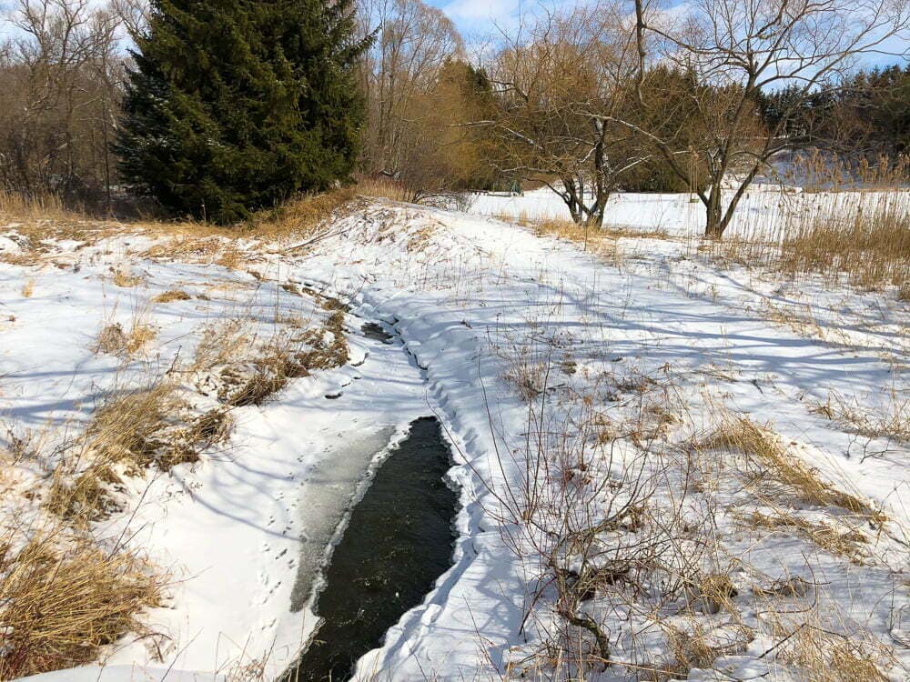 Schomberg - Emma Jane Explores