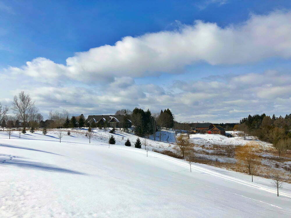 Schonberg - Emma Jane Explores