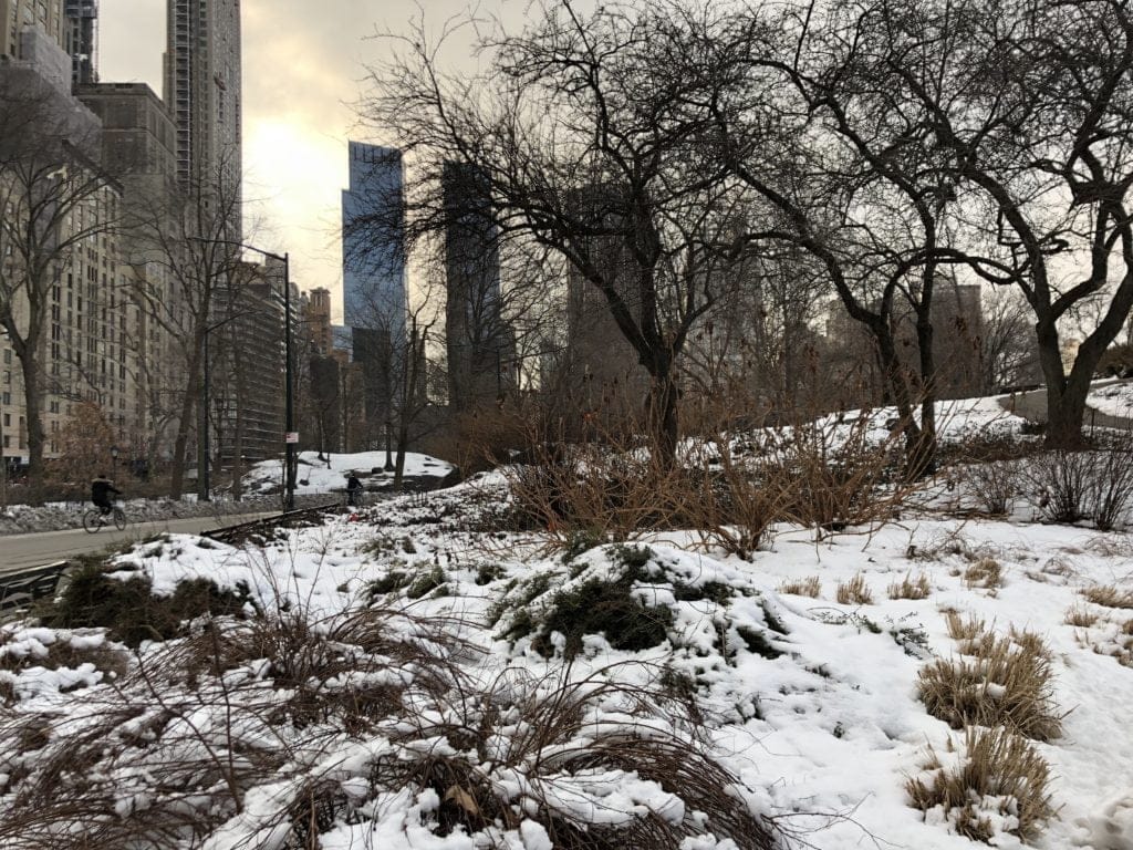 Central Park - New York City in Winter - Emma Jane Explores
