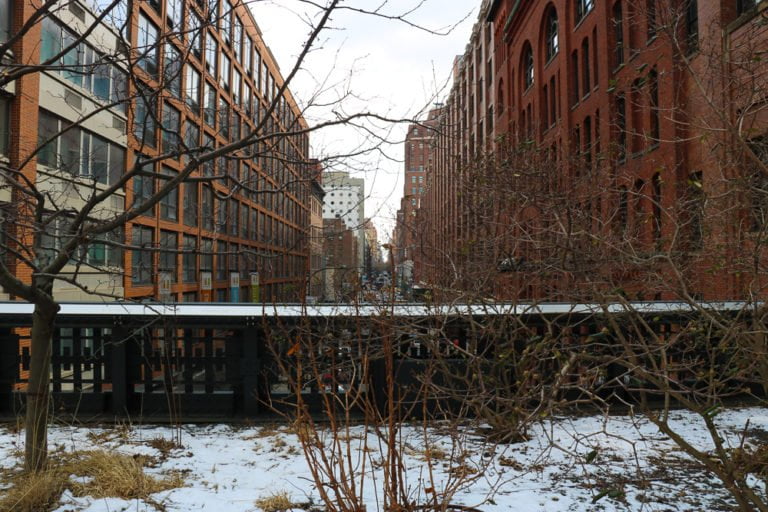 New York City In Winter - Emma Jane Explores