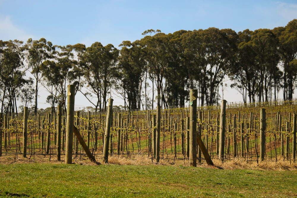 Things To Do In The Southern Highlands - Emma Jane Explores