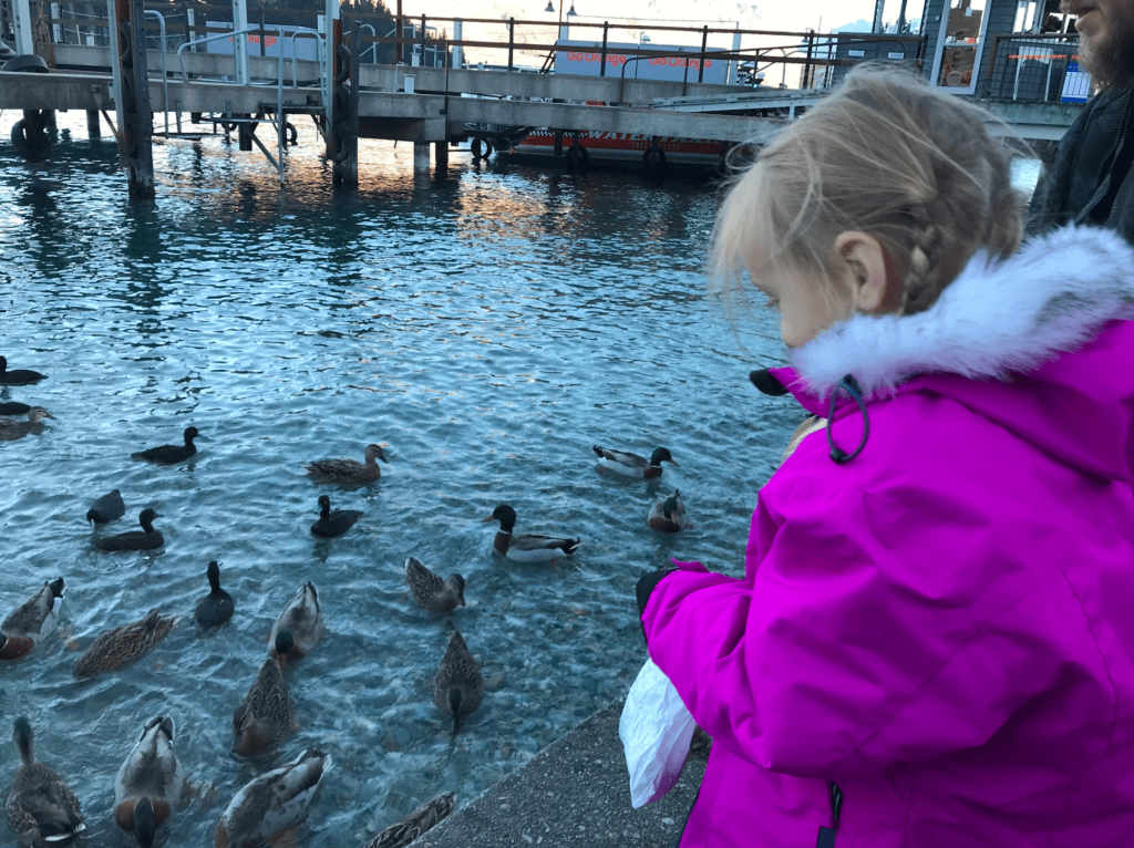 Things To Do In Queenstown - Emma Jane Explores