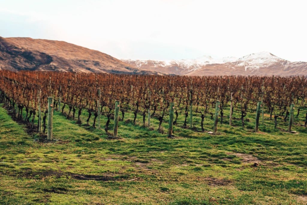 Things To Do In Queenstown - Emma Jane Explores