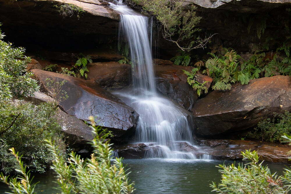 West Head Walking Tracks - Kuringai Chase National Park - Emma Jane Explores