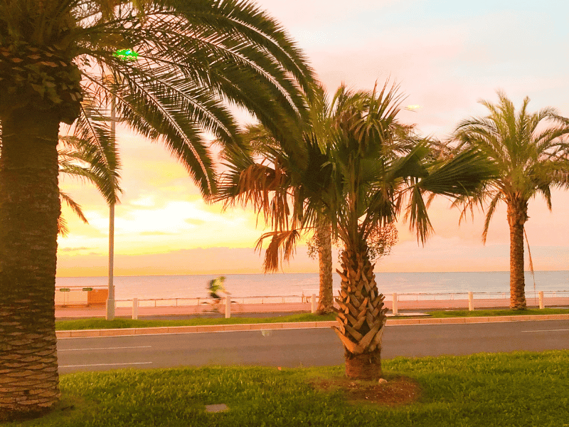 Sunset over the beach in Nice, France, featuring lush palm trees and a peaceful seaside view perfect for relaxing family holidays.