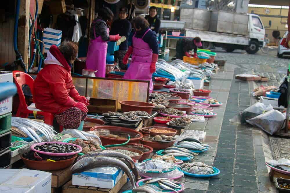 Jagalchi Fish Market Busan - Emma Jane Explores