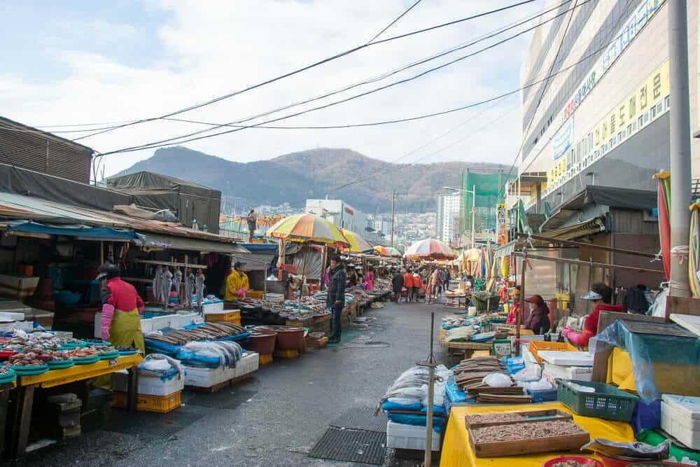 Two Days In Busan - Emma Jane Explores - Jagalchi