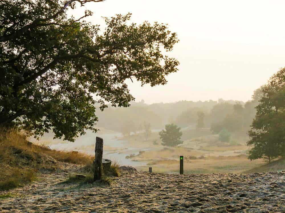 Serene landscape with sandy trail, lush trees, and misty hills at dawn, perfect for nature walks and outdoor exploration in Australia.