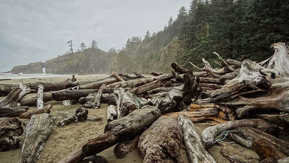 Fallen driftwood and weathered tree logs on a remote Pacific Northwest beach with forested cliffs and a waterfall in the background, showcasing rugged coastal scenery and natural driftwood art.