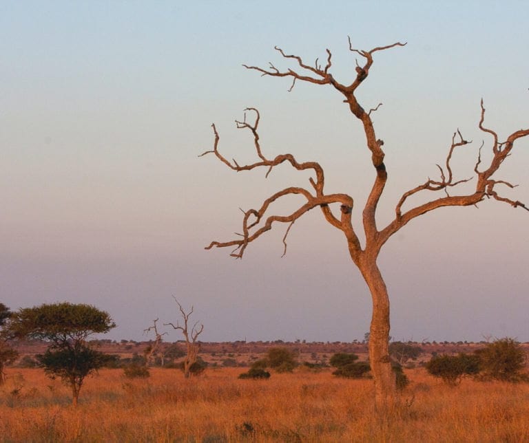 The Best National Parks in the World (Africa, Asia, Oceania) - Emma Jane Explores
