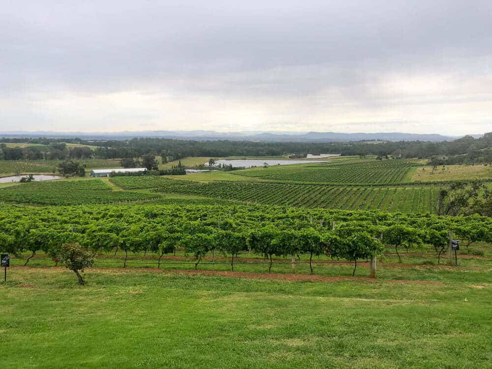 Vineyard landscape with lush green grapevines, rolling hills, and distant water bodies under a cloudy sky, showcasing Australian wine country and scenic rural beauty.