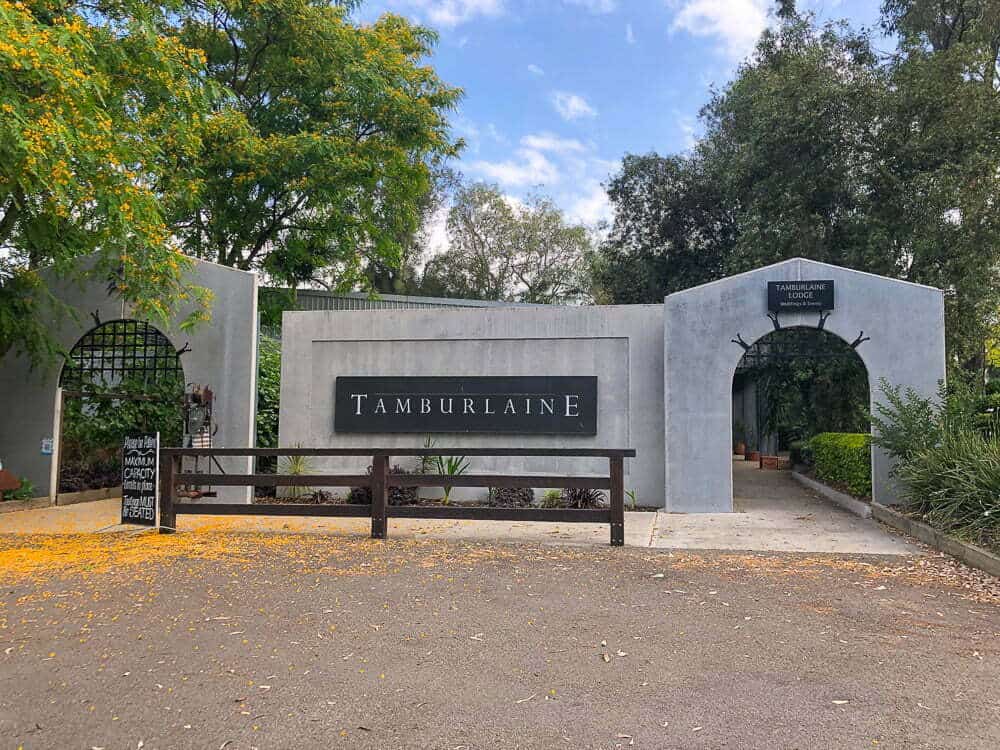Secluded entrance to Tamburlaine wine estate with modern white walls, black signage, lush greenery, and a clear sky, perfect for wine tasting tours and exploring Australian vineyards.