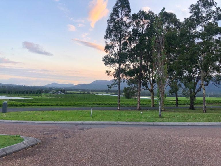 Vibrant rural landscape with tall trees, lush green fields, and mountain views at sunset in Australia. Perfect for travel enthusiasts and nature lovers seeking peaceful scenery.