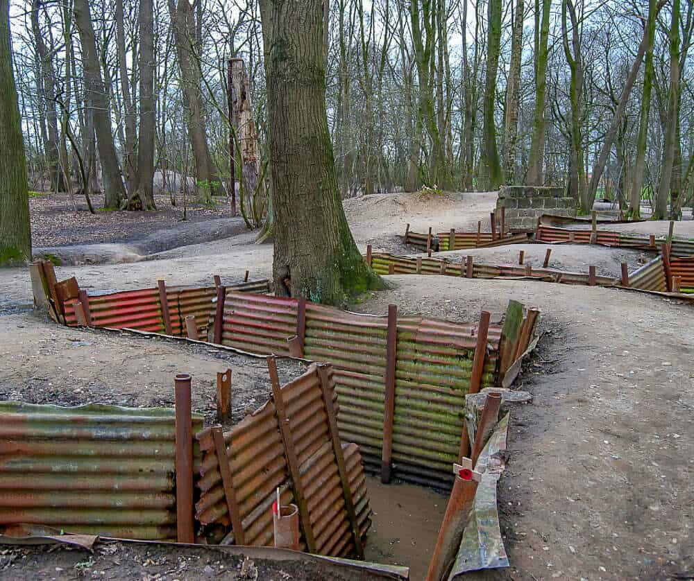 Uneven garden path with rusted metal edging and tall trees in a bare woodland setting.