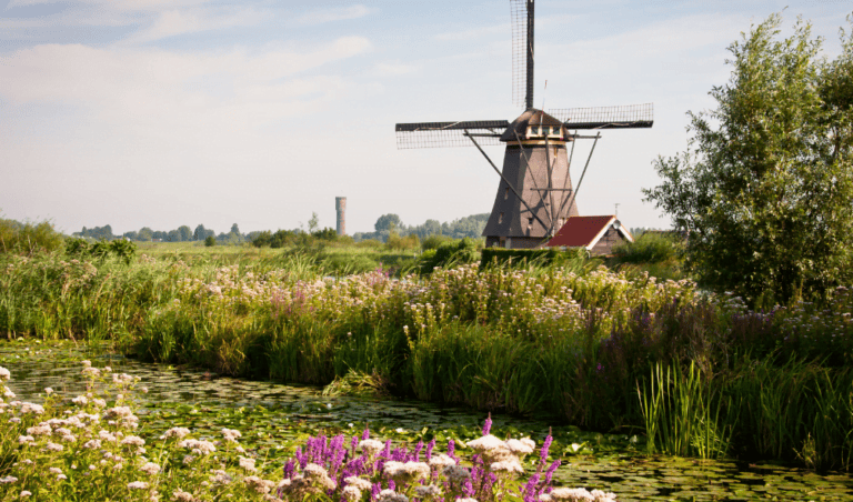 From Rotterdam to Kinderdijk - Emma Jane Explores
