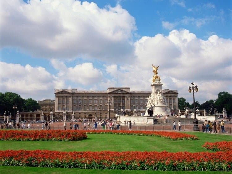A garden with red flowers in the foreground and a palace in the background