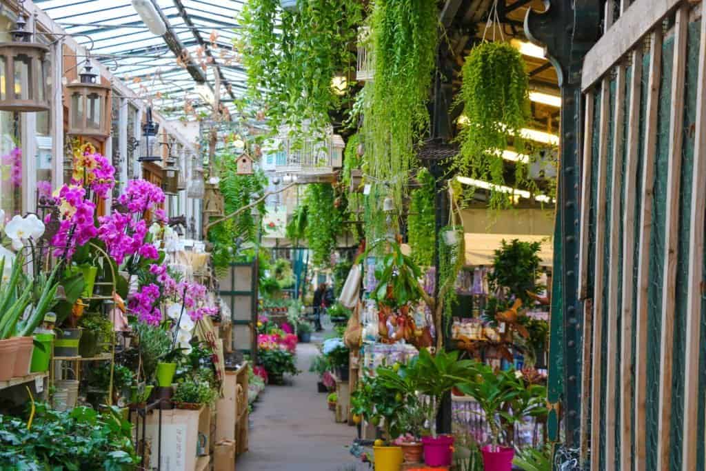Flowers adorning the front of the stalls at the Paris Flower Market