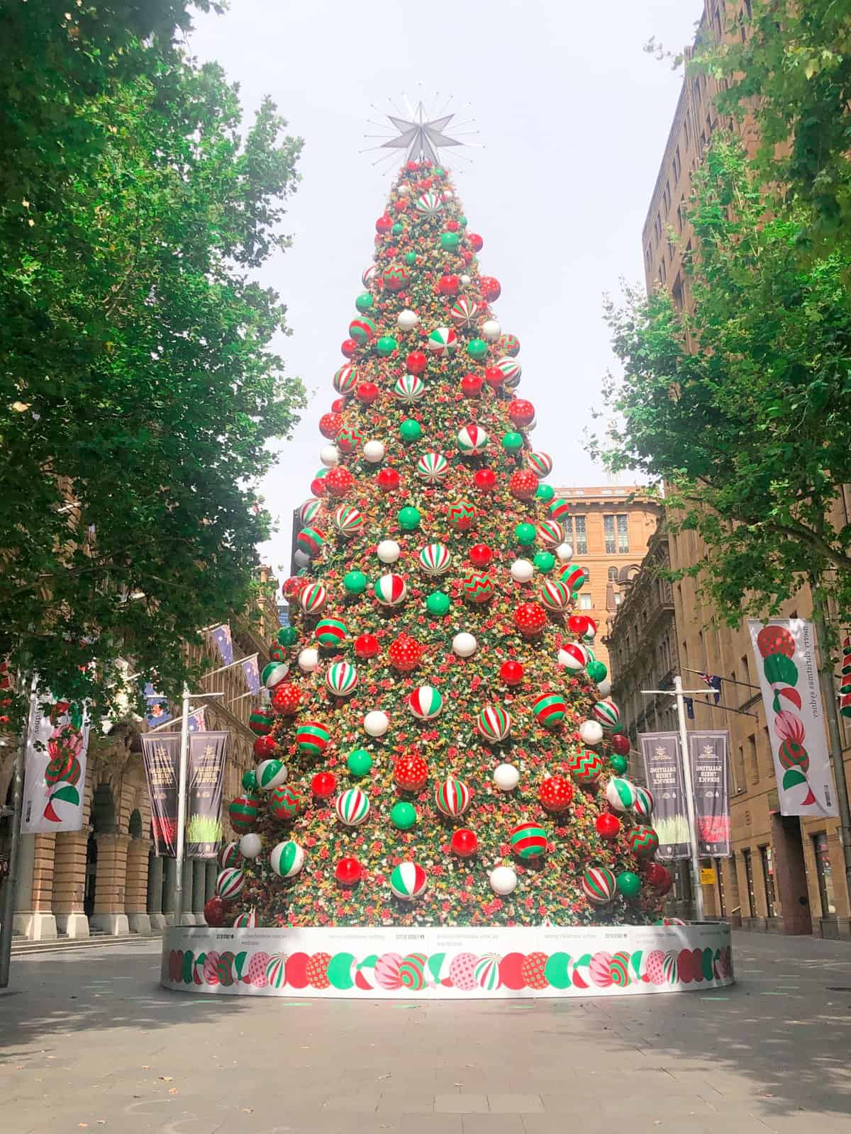 A large outdoor Christmas tree in the centre of Martin Place