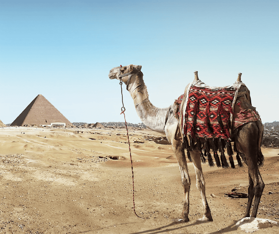 The Best Places To Go In Egypt - Emma Jane Explores