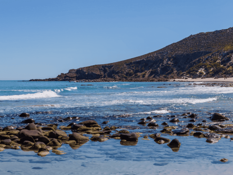 Kangaroo Island Itinerary (3 Days) - Emma Jane Explores