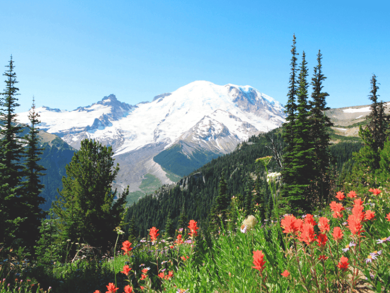 Day Trips From Seattle - Emma Jane Explores