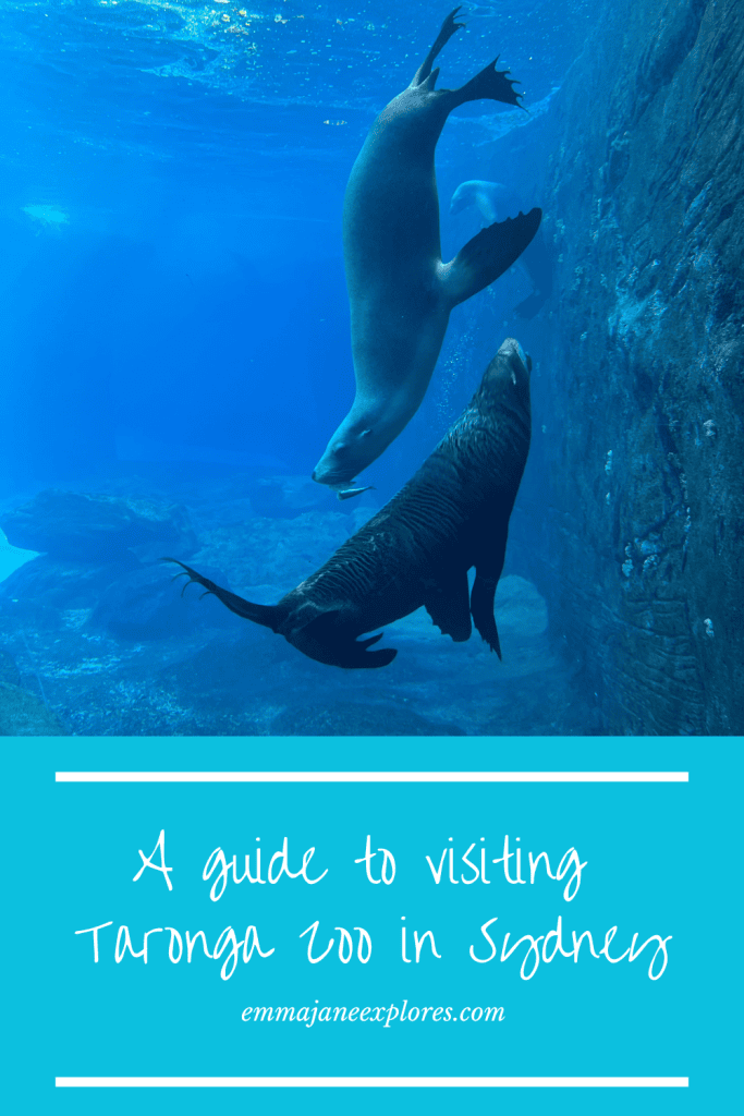 Is Taronga Zoo Worth Visiting in Sydney - Emma Jane Explores