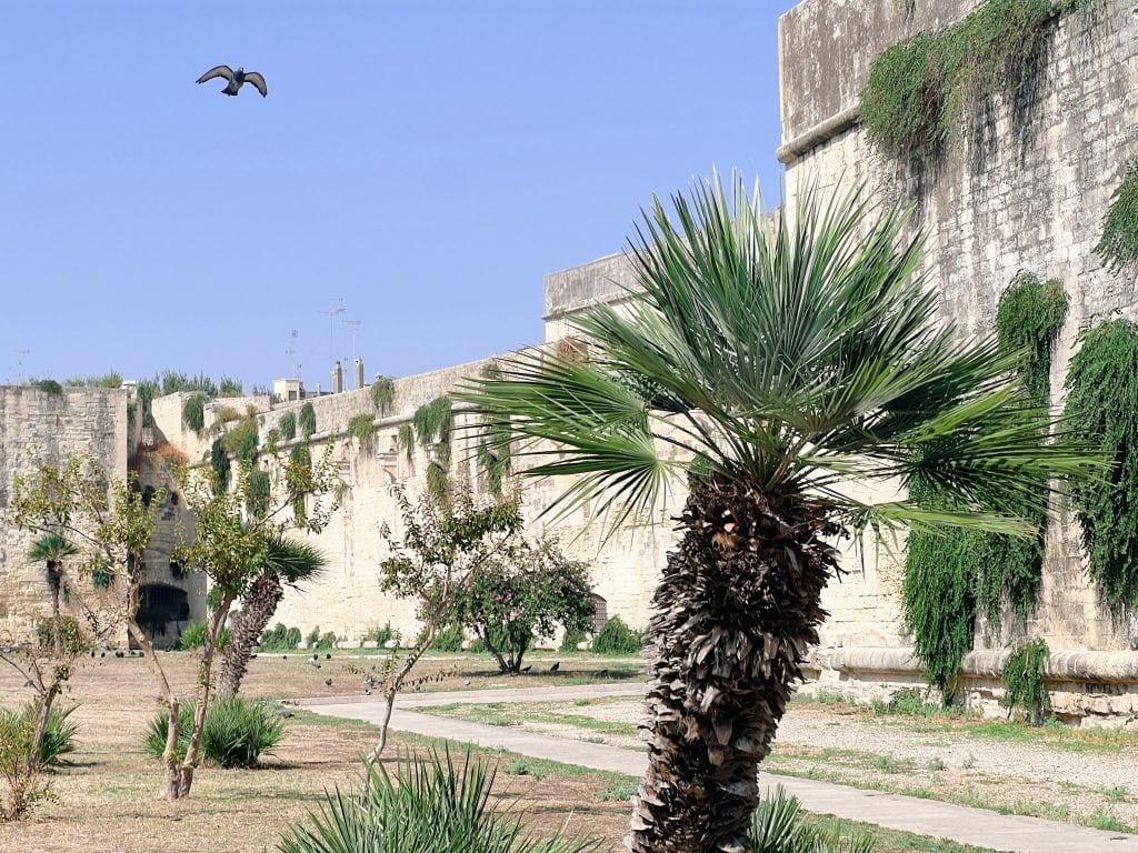Vibrant palm tree in historic European courtyard with ancient stone walls and lush greenery, capturing the essence of travel and exploration in scenic destinations.
