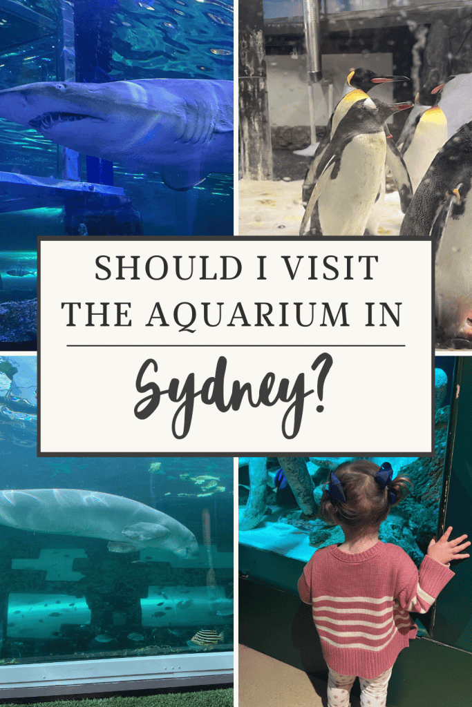 Is Sydney Aquarium worth visiting? Emma Jane Explores