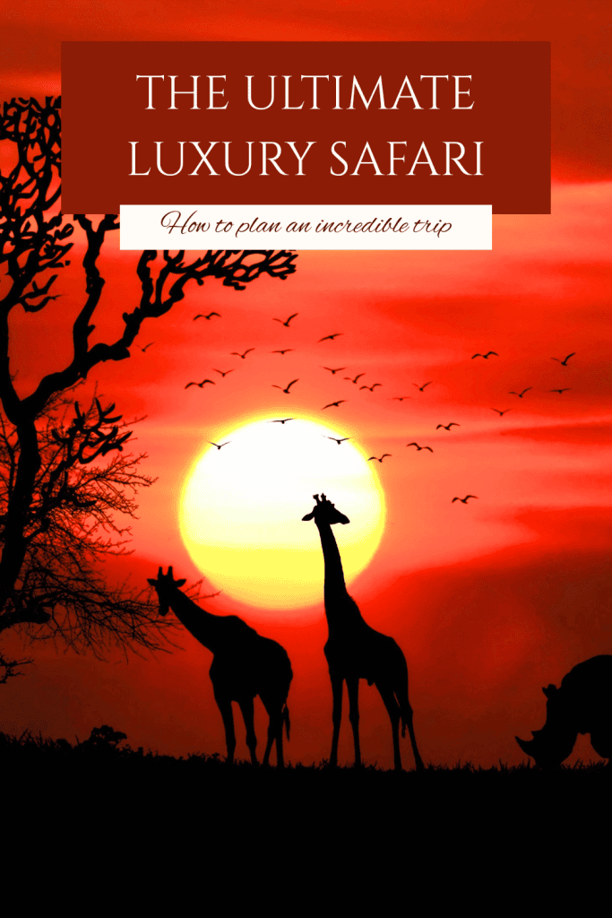The ultimate luxury safari guide - Emma Jane Explores
