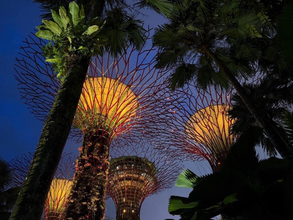 Singapore with kids - Gardens by the bay