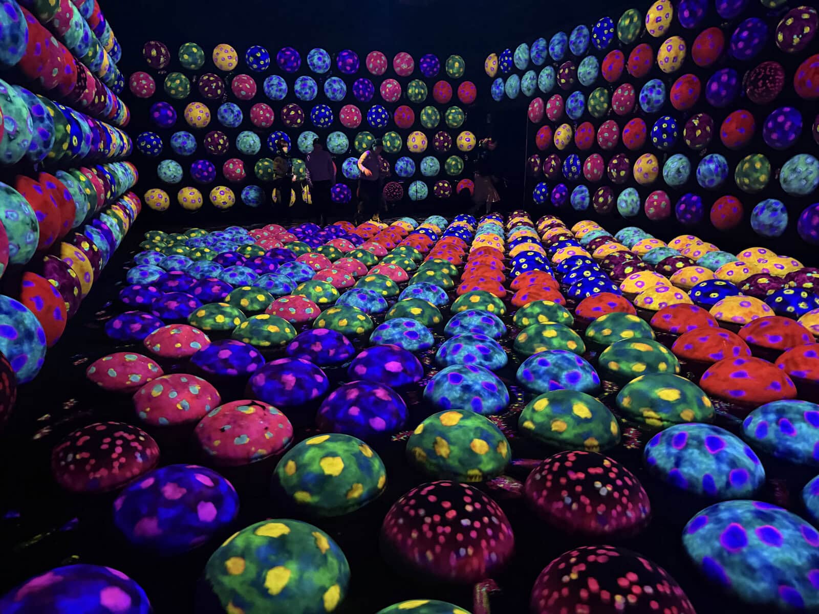 teamLab Biovortex with kids in Kyoto - Emma Jane Explores