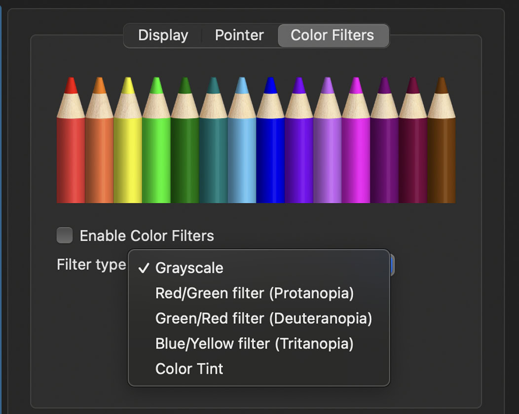 Screenshot of the color filter including the selection of grayscale or other filter types