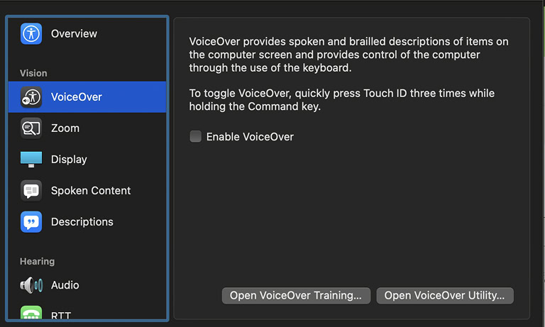 Screenshot of the Mac and the VoiceOver settings