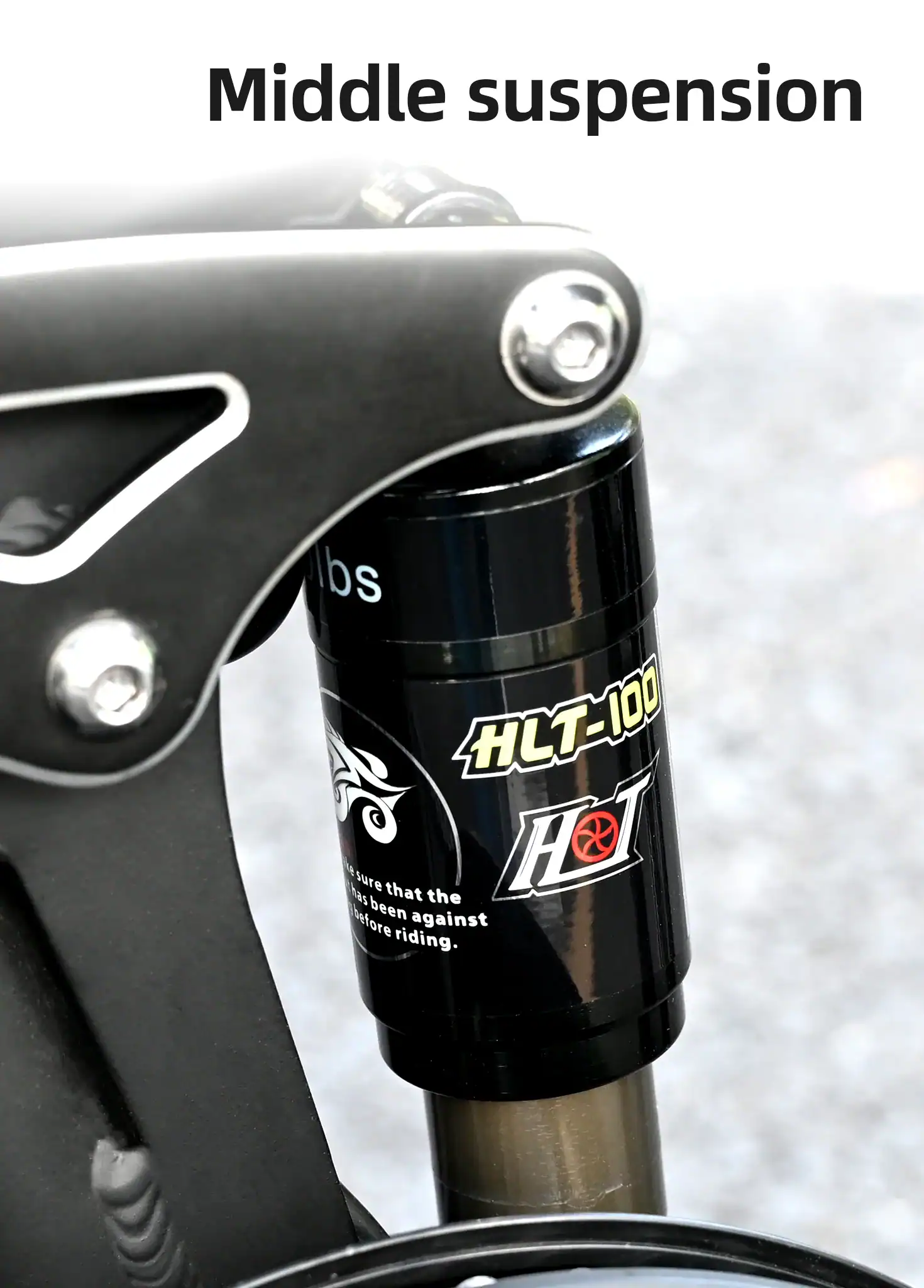 Rower elektryczny Engwe Engine X 250w