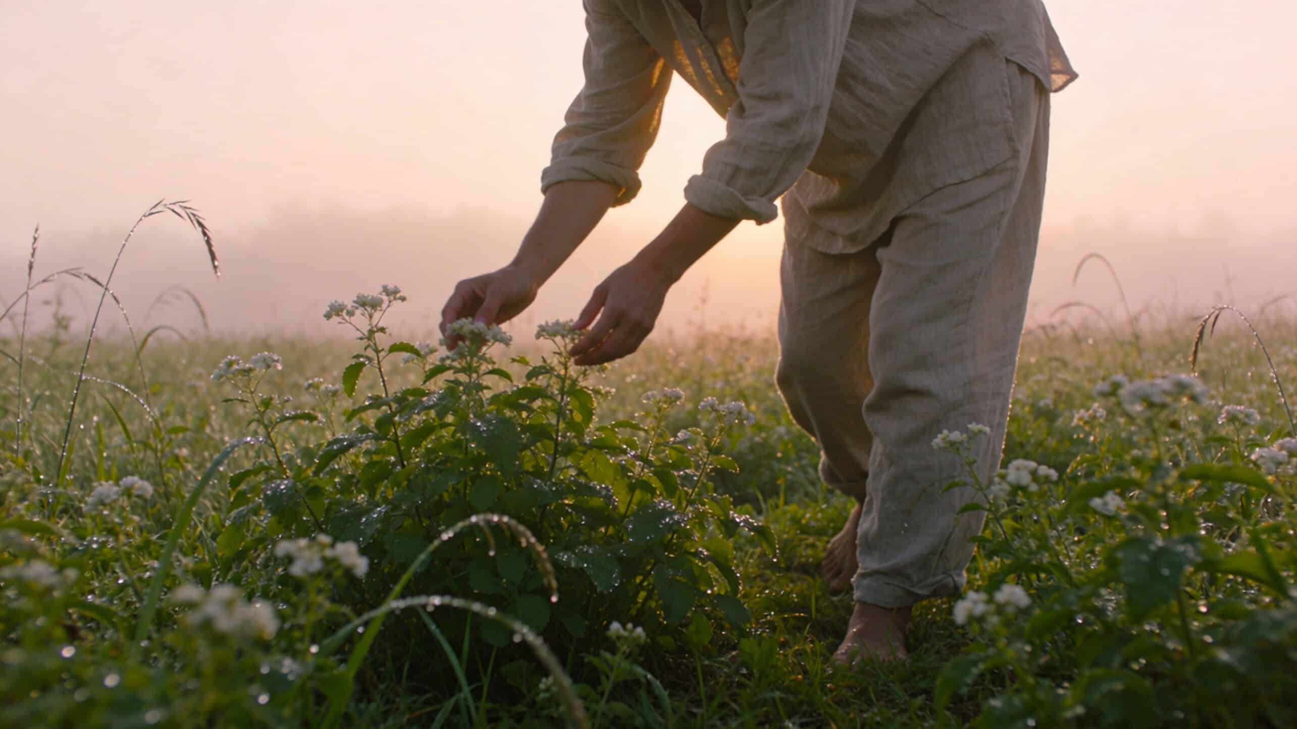 gardening