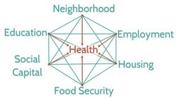 soc det of health web