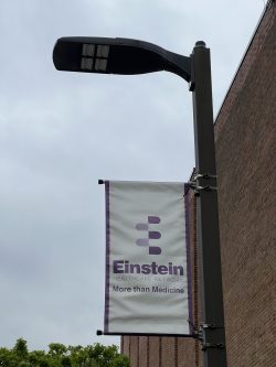 Einstein banner