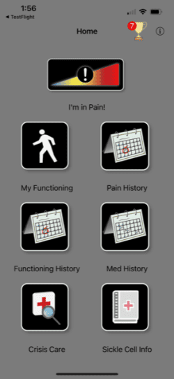 Users see a variety of options upon opening the app.