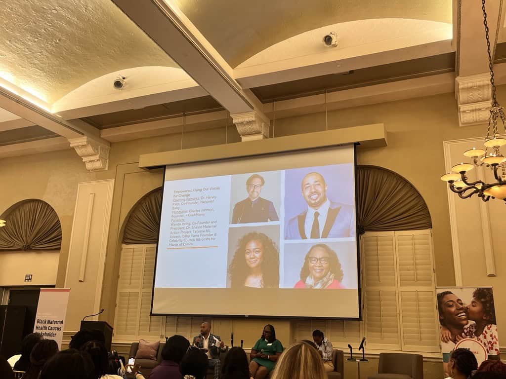 A panel speaks during the Black Maternal Health Caucus Stakeholder Summit, in in Joliet, Ill.